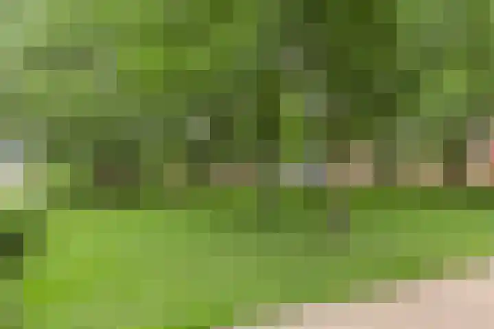 Gorechtkade 1 28 Groningen thumbnail 32