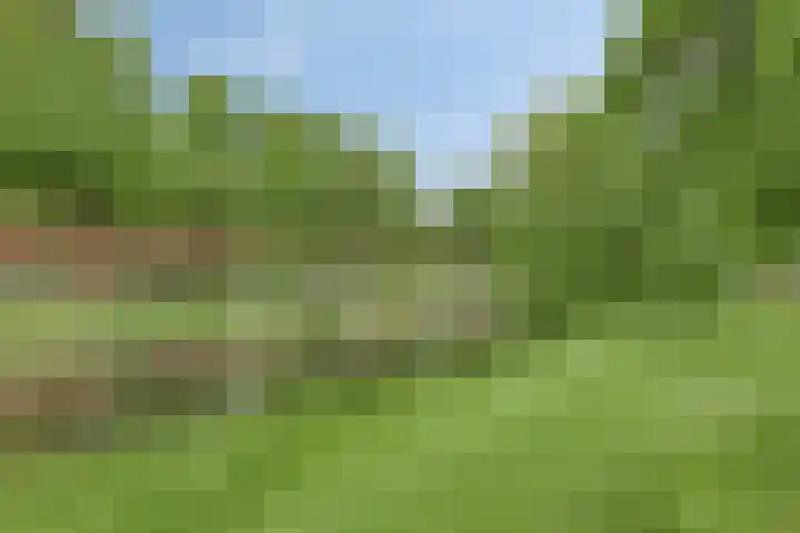 Gorechtkade 1 28 Groningen thumbnail 35