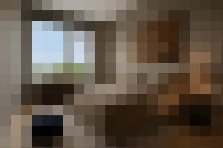 Gorechtkade 1 28 Groningen thumbnail 4