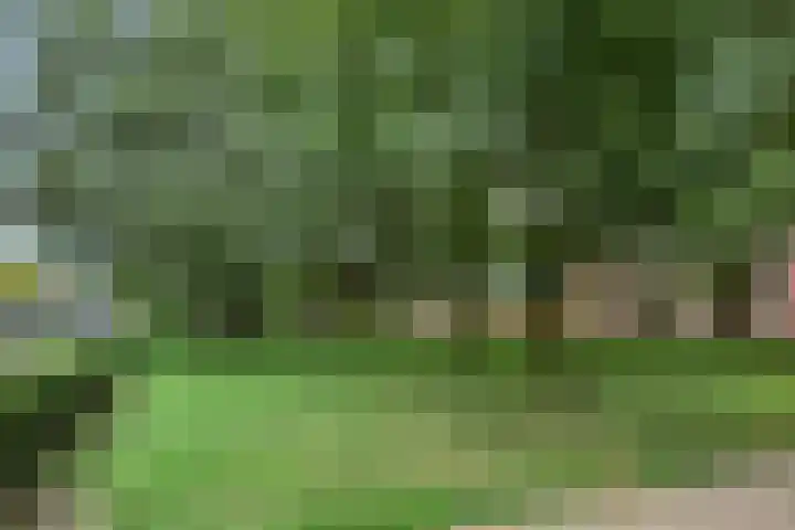 Gorechtkade 1 29 Groningen thumbnail 40
