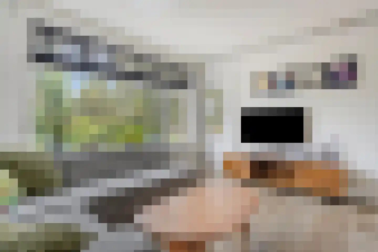Gorechtkade 1 3 Groningen thumbnail 15