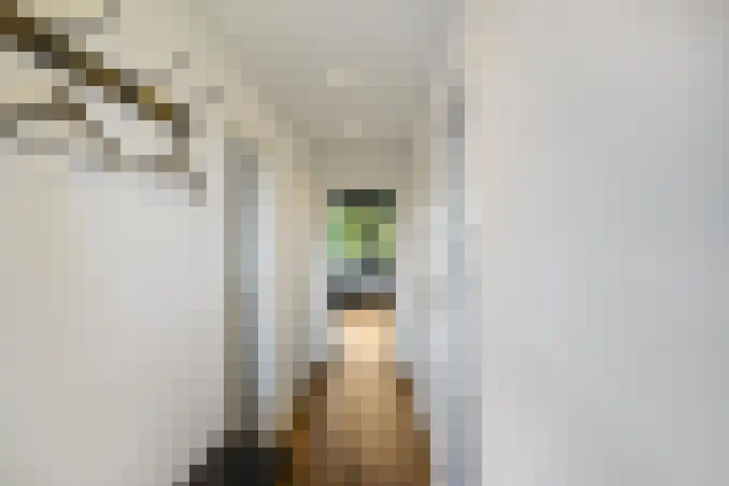 Gorechtkade 1 8 Groningen thumbnail 11