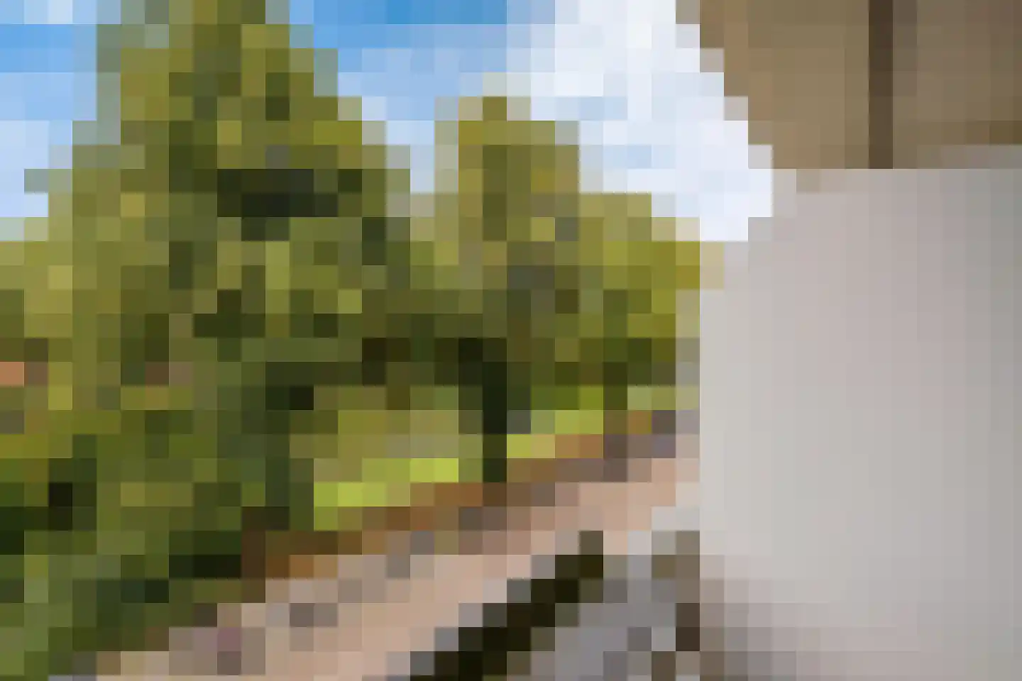 Gorechtkade 1 8 Groningen thumbnail 27