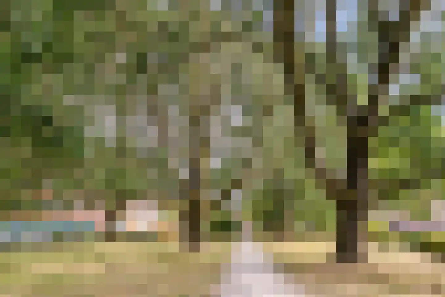 Gorechtkade 1 8 Groningen thumbnail 30