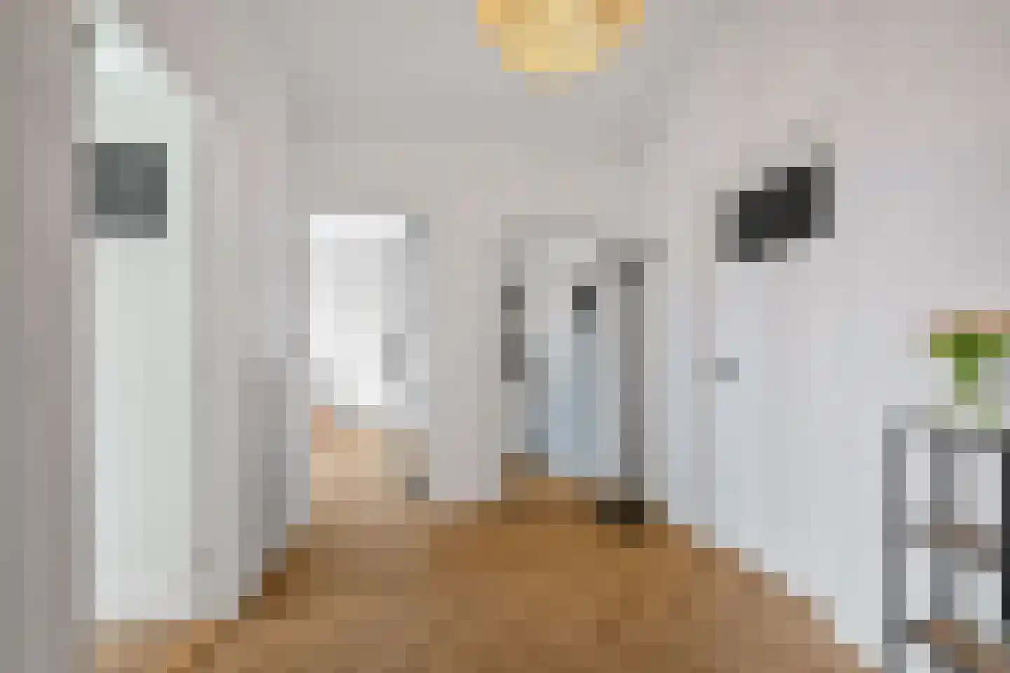 Gorechtkade 100 b Groningen thumbnail 11