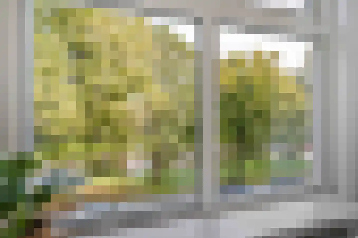 Gorechtkade 100 b Groningen thumbnail 23