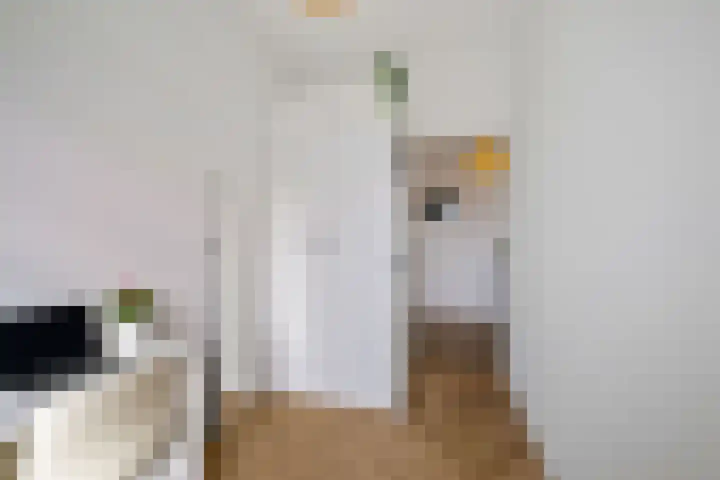 Gorechtkade 100 b Groningen thumbnail 25
