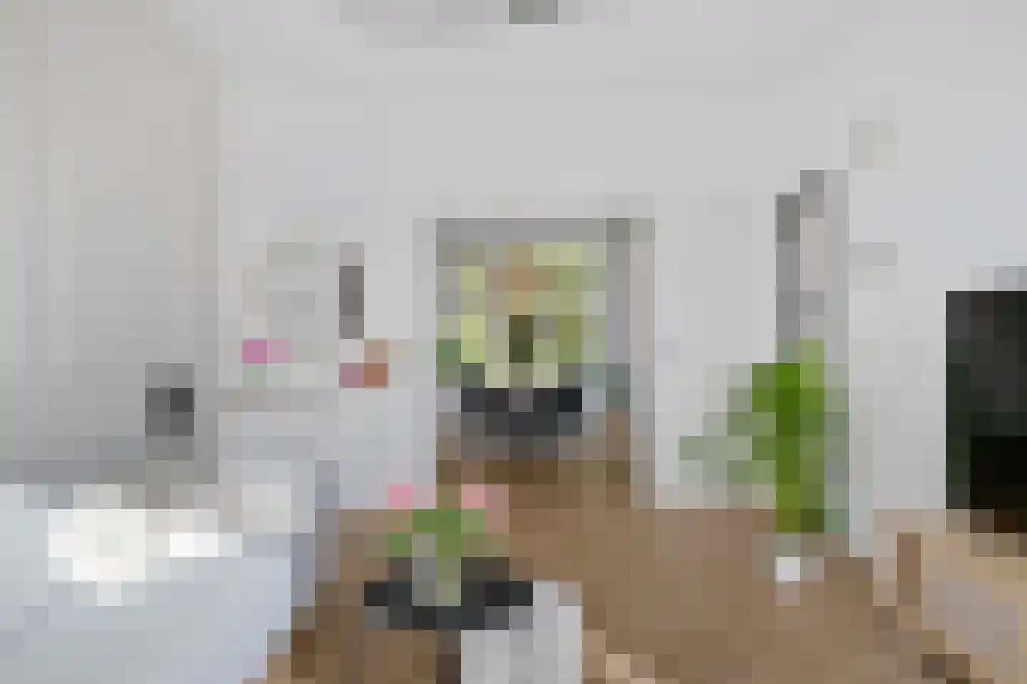 Gorechtkade 100 b Groningen thumbnail 5