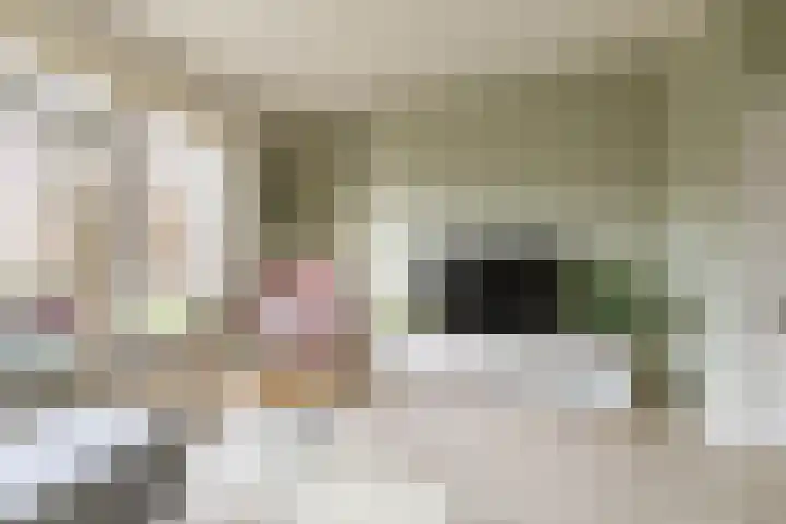 Gorechtkade 103 a Groningen thumbnail 13