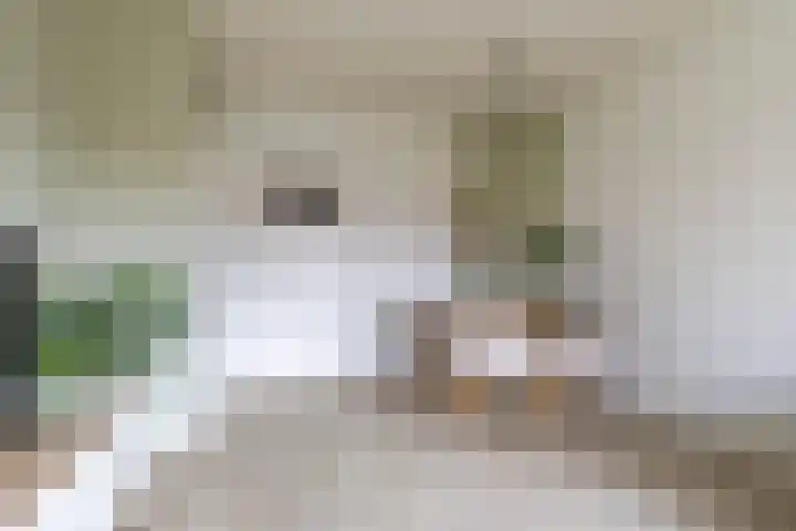 Gorechtkade 103 a Groningen thumbnail 16