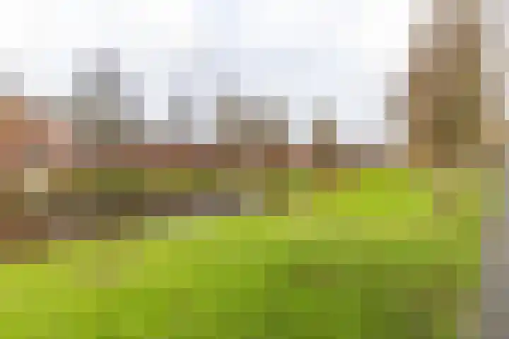 Gorechtkade 103 a Groningen thumbnail 35
