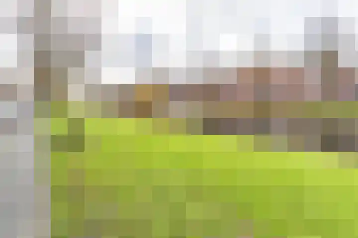 Gorechtkade 103 a Groningen thumbnail 6
