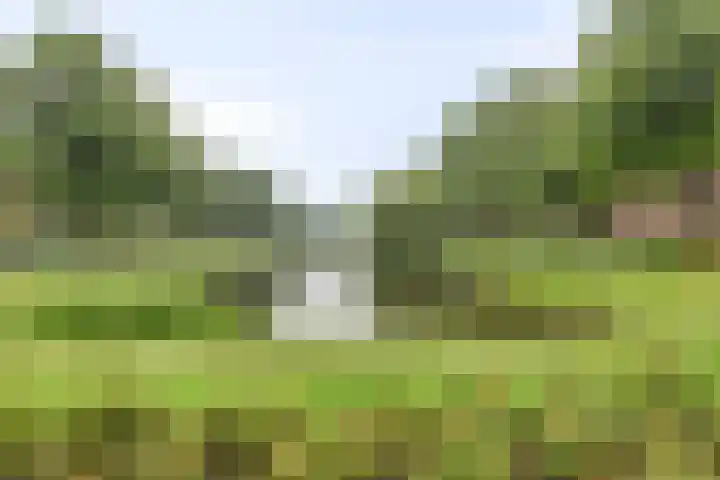 Gorechtkade 109 b Groningen thumbnail 5