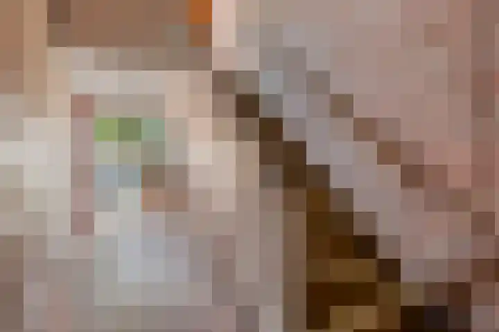 Gorechtkade 109 b Groningen thumbnail 6