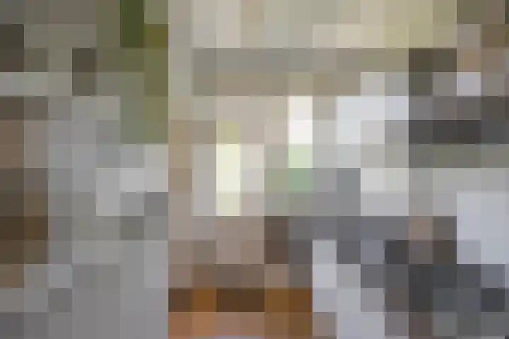 Gorechtkade 111 Groningen thumbnail 15