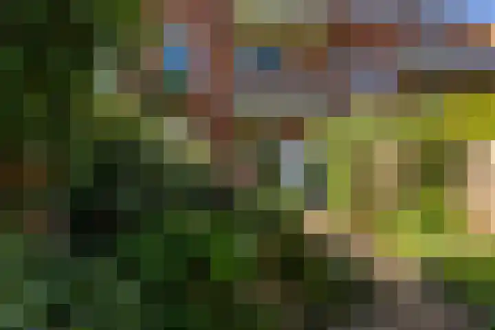 Gorechtkade 111 Groningen thumbnail 28