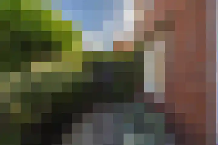 Gorechtkade 111 Groningen thumbnail 29