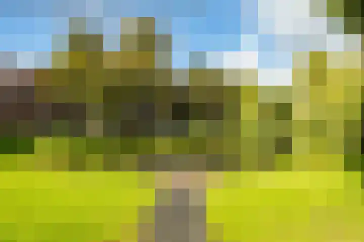 Gorechtkade 111 Groningen thumbnail 31