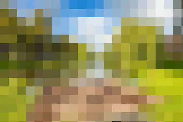 Gorechtkade 111 Groningen thumbnail 32