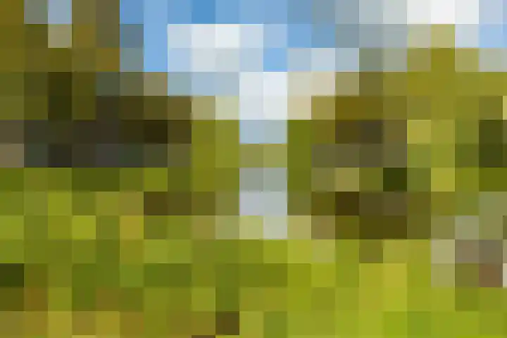Gorechtkade 111 Groningen thumbnail 33