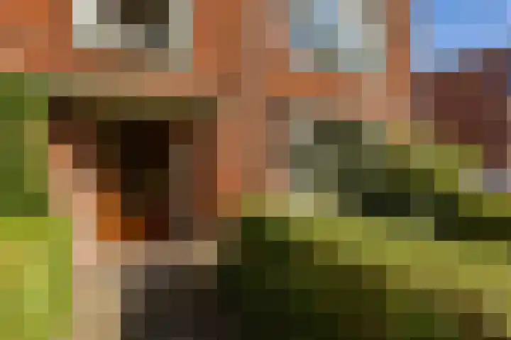 Gorechtkade 111 Groningen thumbnail 6