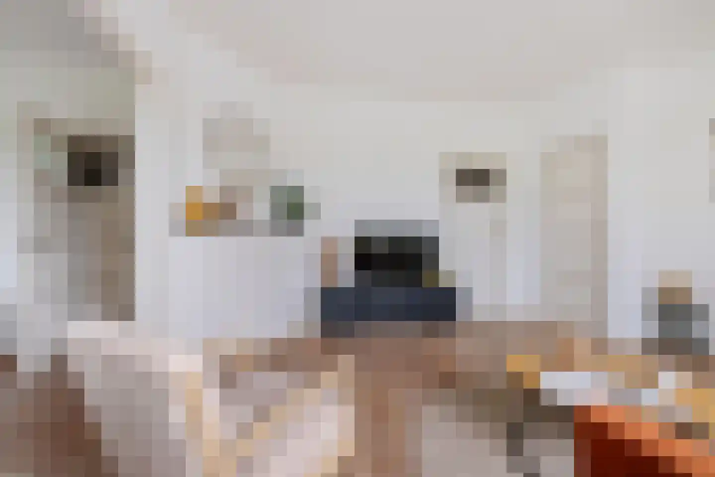 Gorechtkade 113 a Groningen thumbnail 13