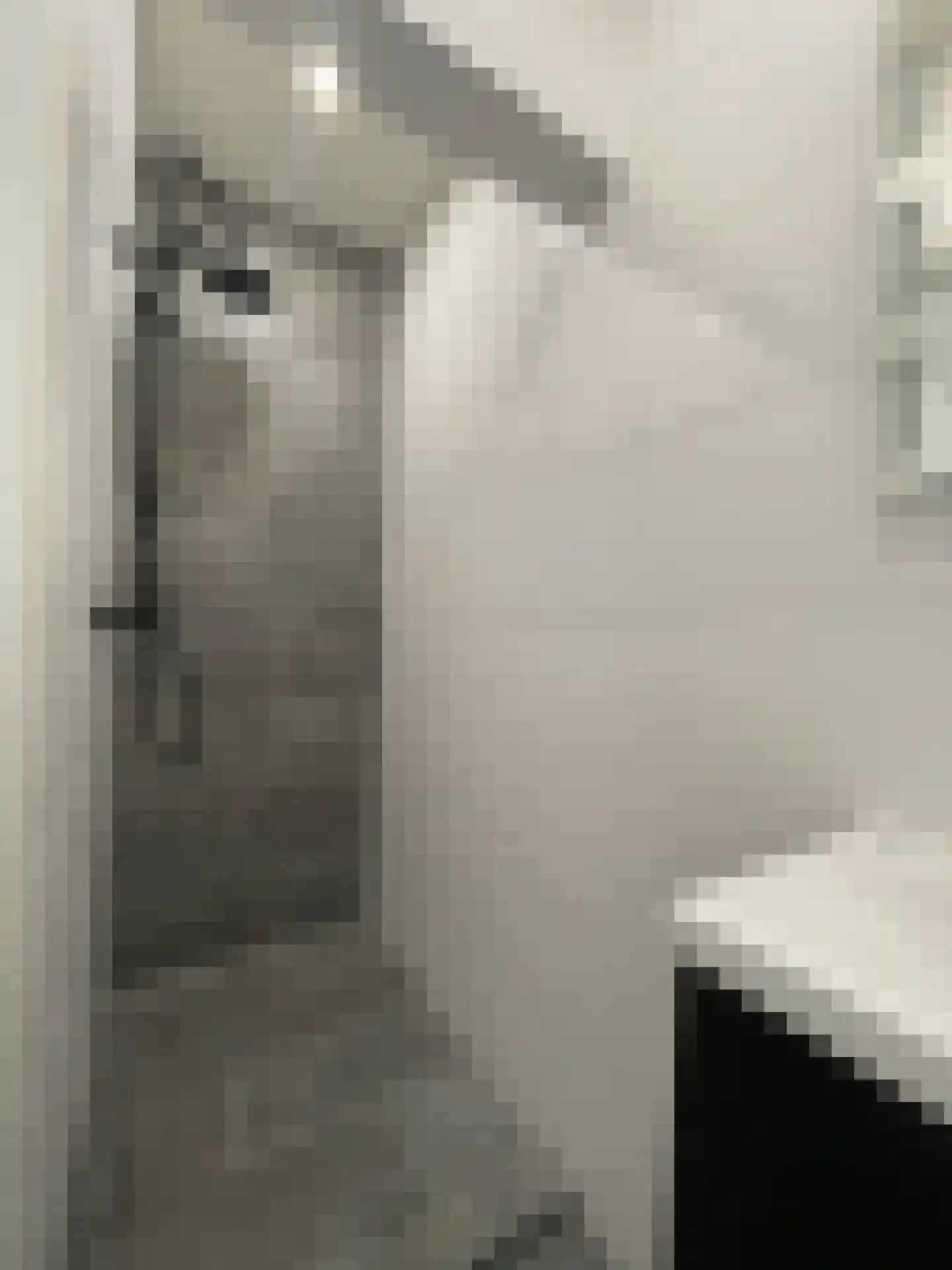 Gorechtkade 116 c Groningen thumbnail 20