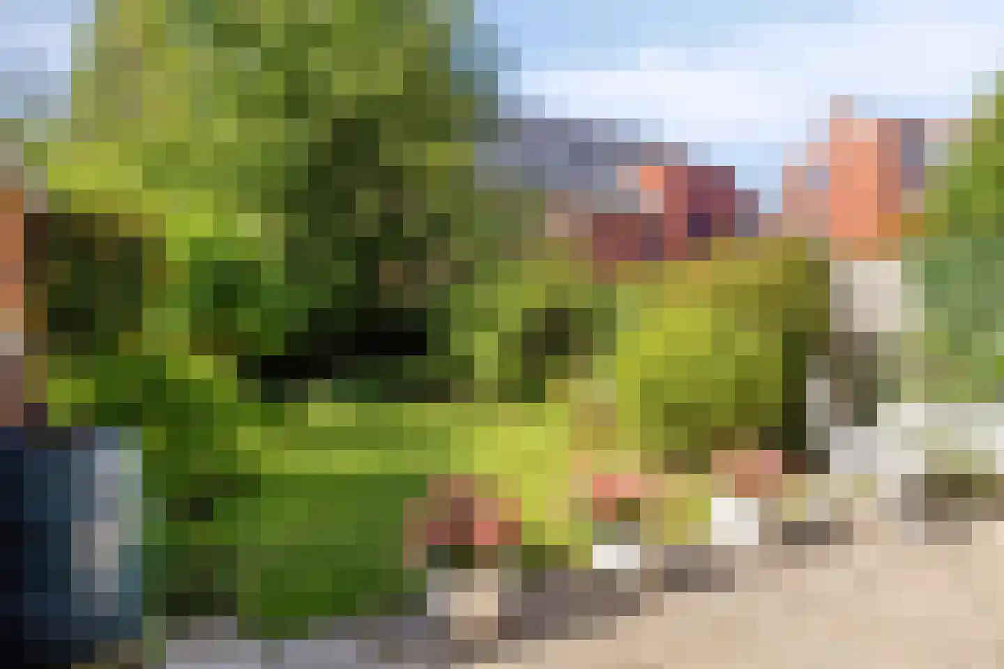 Gorechtkade 124 Groningen thumbnail 14