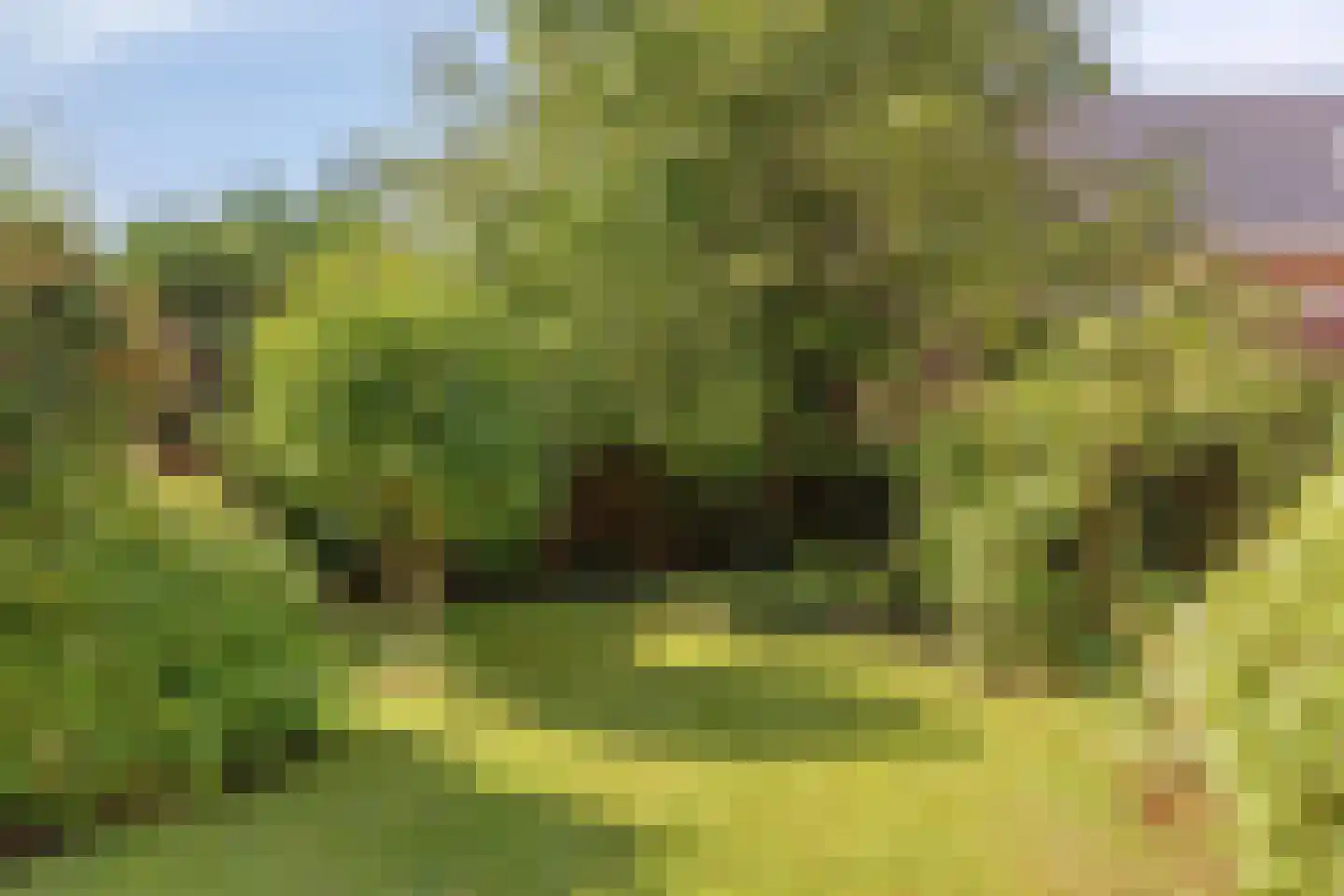 Gorechtkade 124 Groningen thumbnail 15
