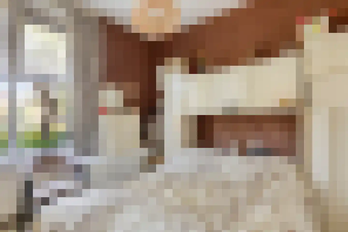 Gorechtkade 124 Groningen thumbnail 9