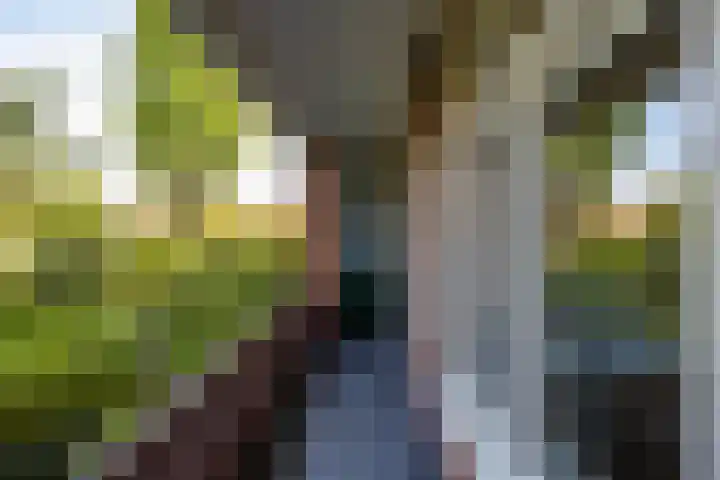 Gorechtkade 133 a Groningen thumbnail 37