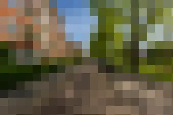 Gorechtkade 133 a Groningen thumbnail 38