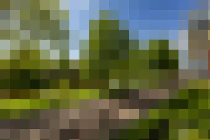 Gorechtkade 133 a Groningen thumbnail 39