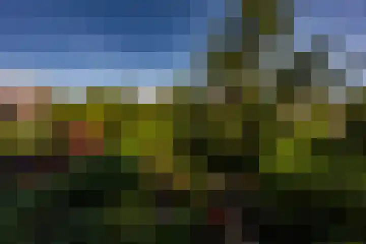 Gorechtkade 133 a Groningen thumbnail 40
