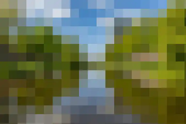 Gorechtkade 133 a Groningen thumbnail 41