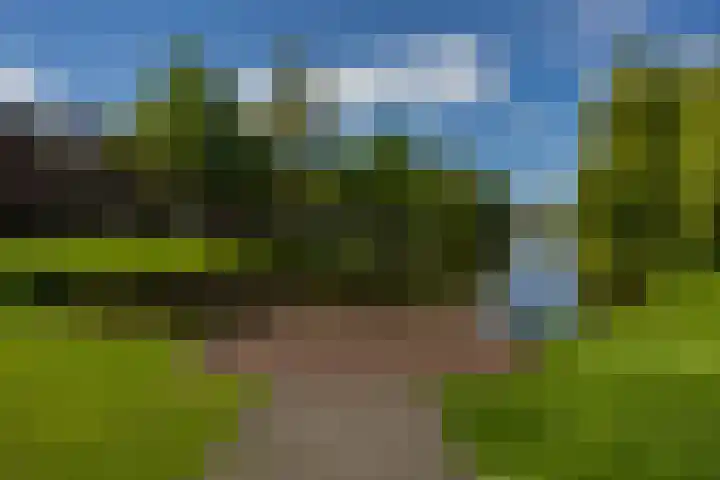 Gorechtkade 133 a Groningen thumbnail 42