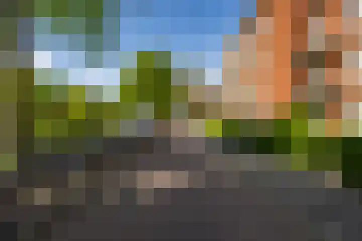 Gorechtkade 133 a Groningen thumbnail 6