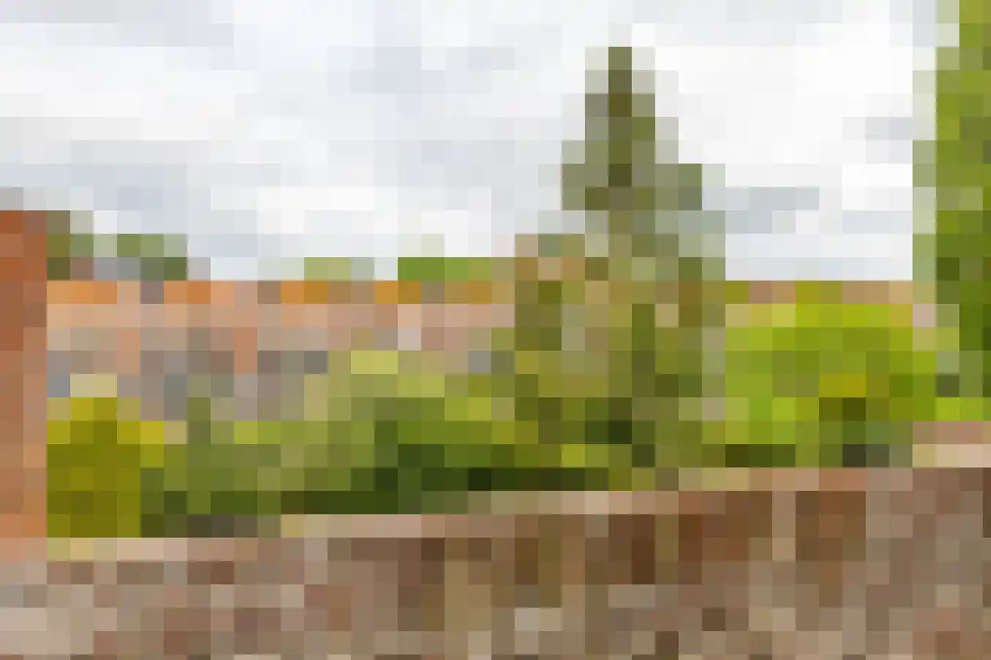 Gorechtkade 133 c Groningen thumbnail 24