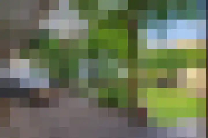 Gorechtkade 137 Groningen thumbnail 31