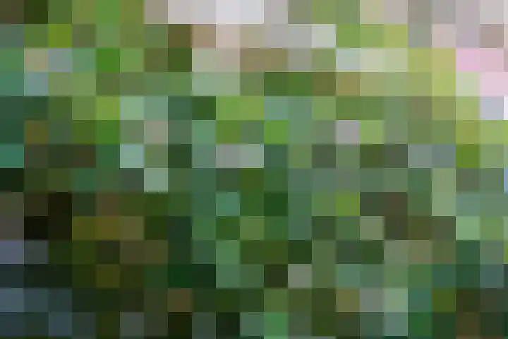 Gorechtkade 137 Groningen thumbnail 33