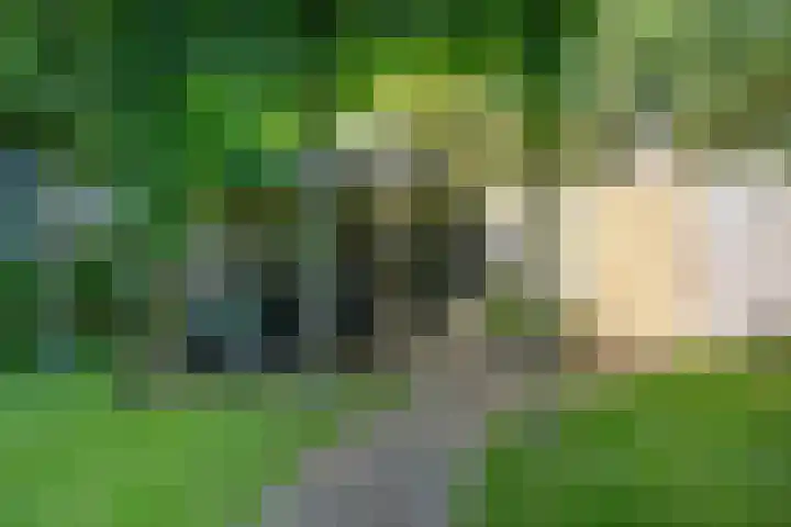 Gorechtkade 137 Groningen thumbnail 35