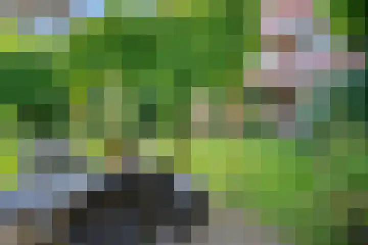 Gorechtkade 137 Groningen thumbnail 37
