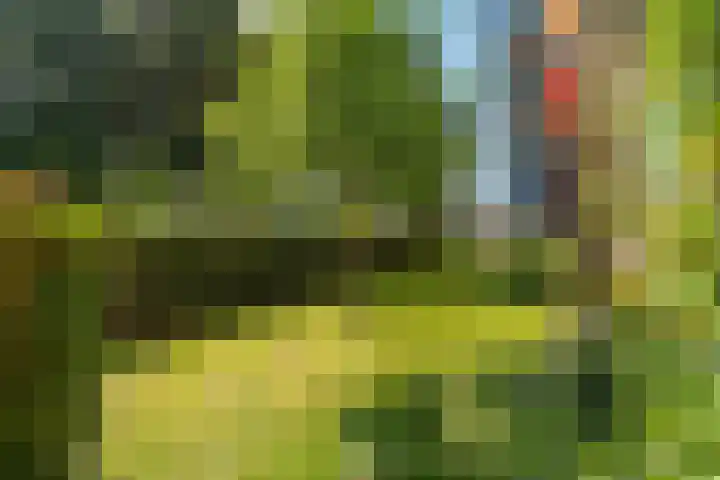 Gorechtkade 137 Groningen thumbnail 38