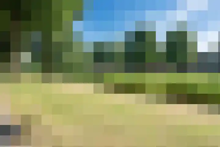 Gorechtkade 137 Groningen thumbnail 39