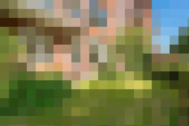 Gorechtkade 137 Groningen thumbnail 6