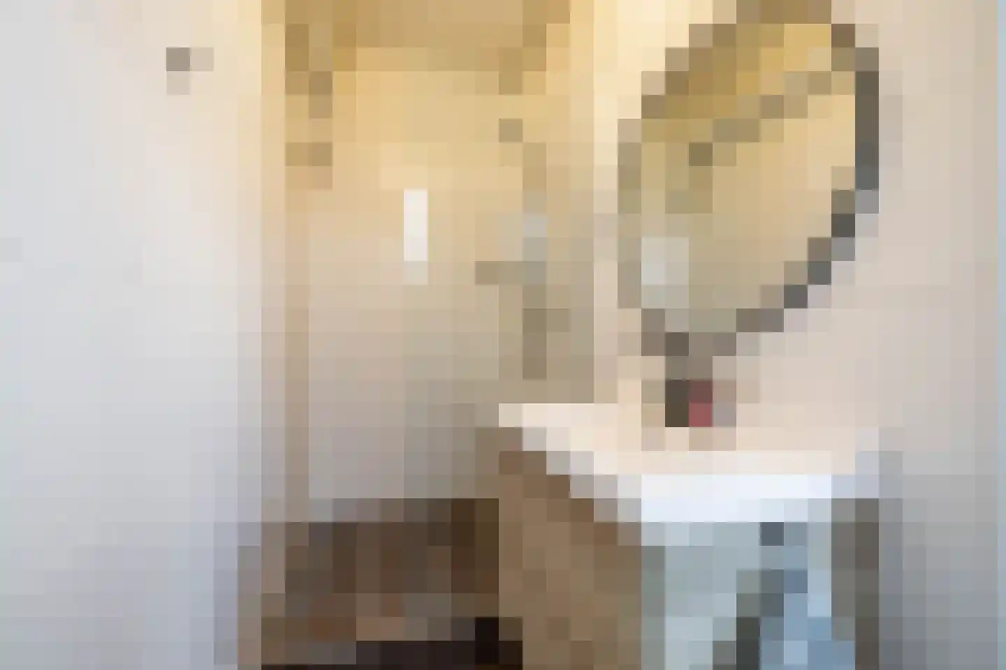 Gorechtkade 141 a Groningen thumbnail 31