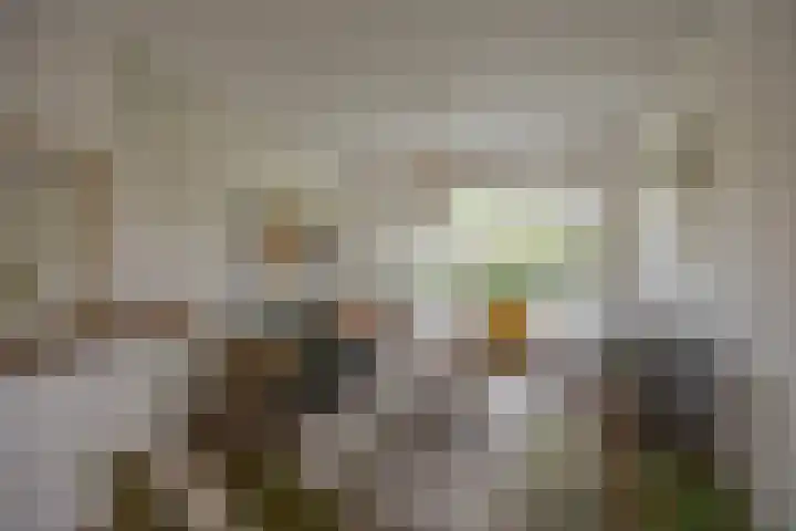 Gorechtkade 142 Groningen thumbnail 13