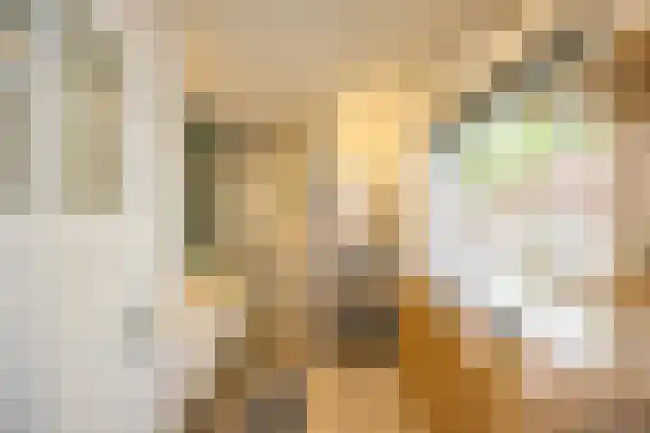Gorechtkade 142 Groningen thumbnail 16