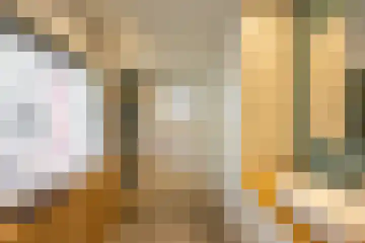 Gorechtkade 142 Groningen thumbnail 18
