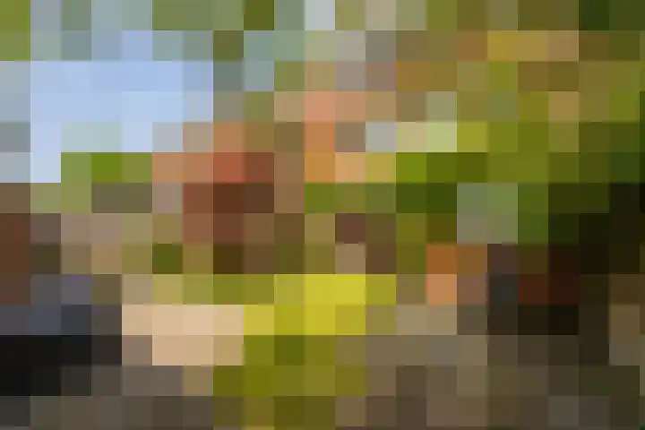 Gorechtkade 142 Groningen thumbnail 26